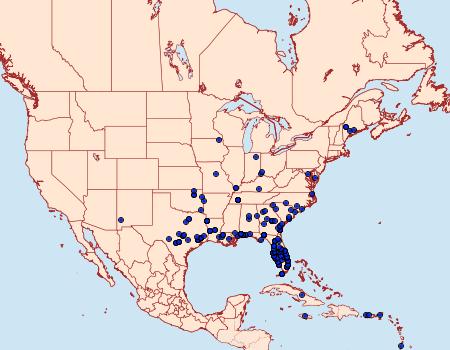 Distribution Data for Samea castellalis