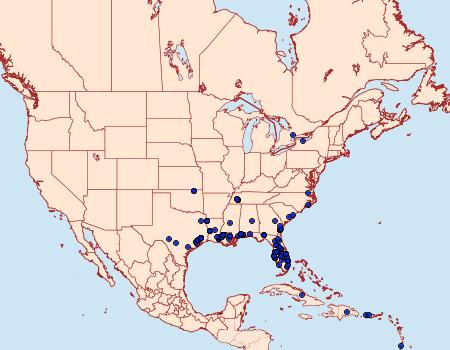 Distribution Data for Samea multiplicalis