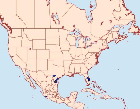 Distribution Data for Samea druchachalis