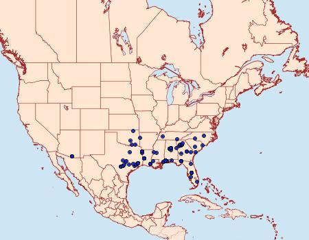 Distribution Data for Diastictis baccatalis