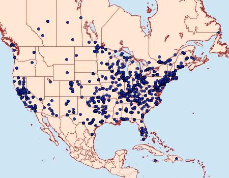 Distribution Data for Nomophila nearctica