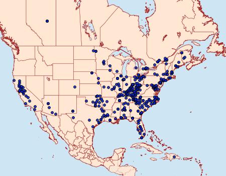 Distribution Data for Desmia funeralis