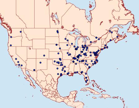 Distribution Data for Desmia maculalis