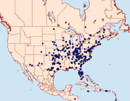 Distribution Data for Hymenia perspectalis