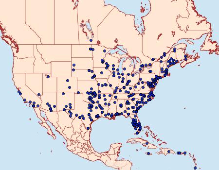 Distribution Data for Spoladea recurvalis