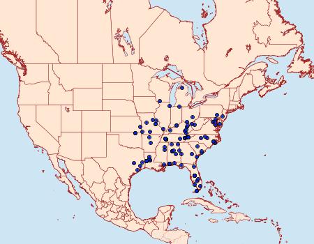 Distribution Data for Diasemiodes janassialis