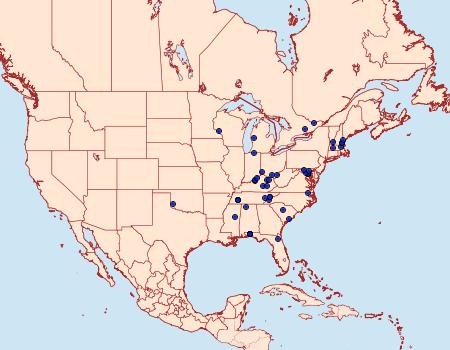 Distribution Data for Diathrausta reconditalis