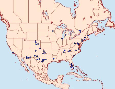 Distribution Data for Diathrausta harlequinalis