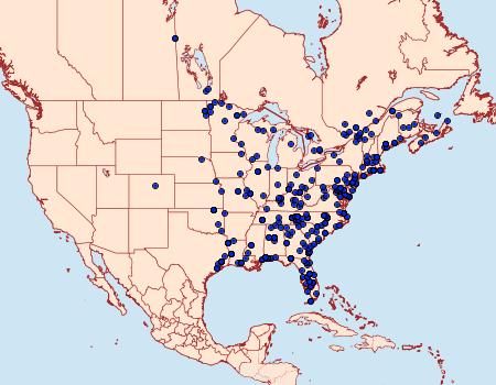 Distribution Data for Anageshna primordialis