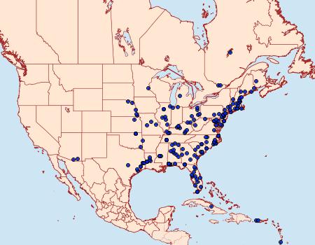 Distribution Data for Apogeshna stenialis