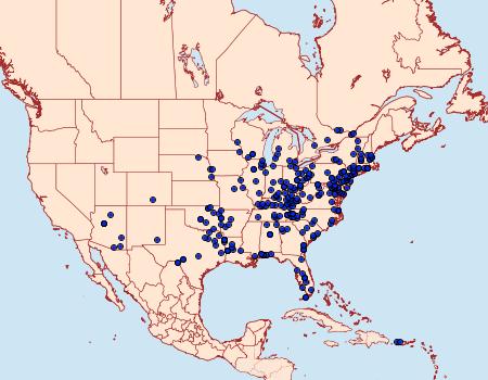 Distribution Data for Blepharomastix ranalis