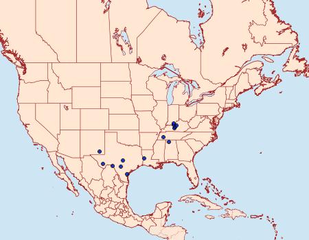 Distribution Data for Hileithia rehamalis