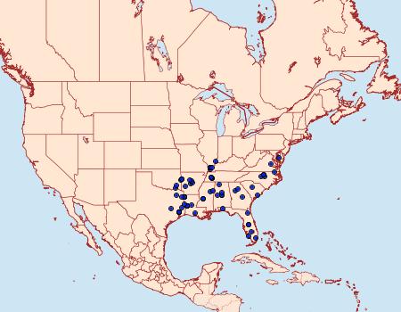 Distribution Data for Colomychus talis