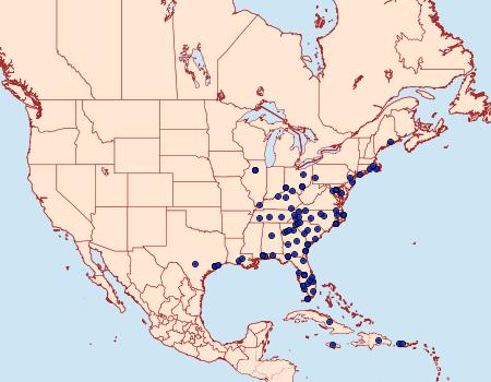 Distribution Data for Diaphania nitidalis