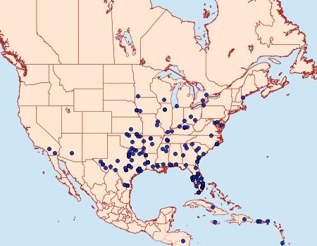 Distribution Data for Diaphania hyalinata