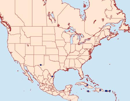 Distribution Data for Diaphania elegans