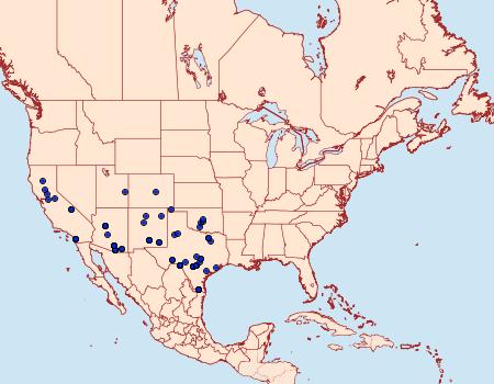 Distribution Data for Palpita atrisquamalis