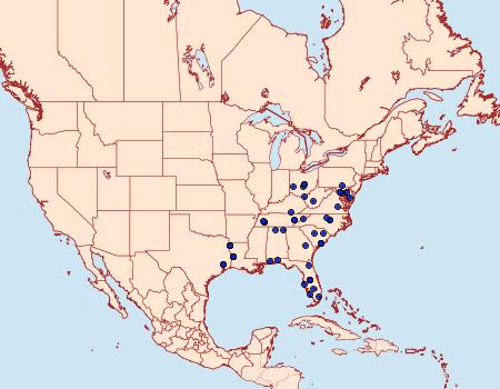 Distribution Data for Palpita illibalis