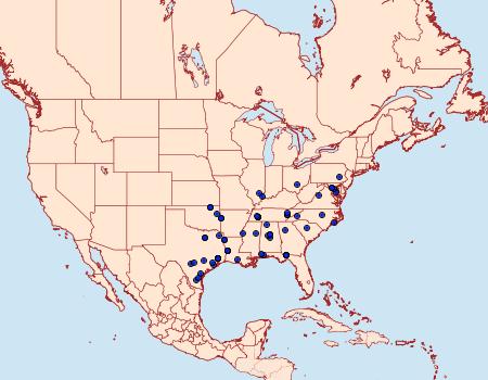 Distribution Data for Palpita freemanalis