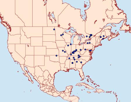 Distribution Data for Palpita aenescentalis