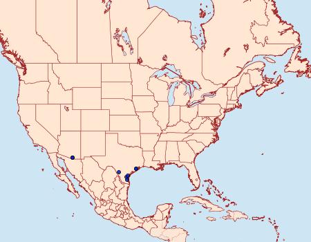 Distribution Data for Compacta hirtalis