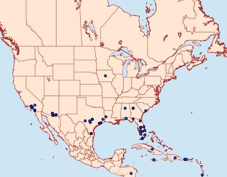 Distribution Data for Terastia meticulosalis