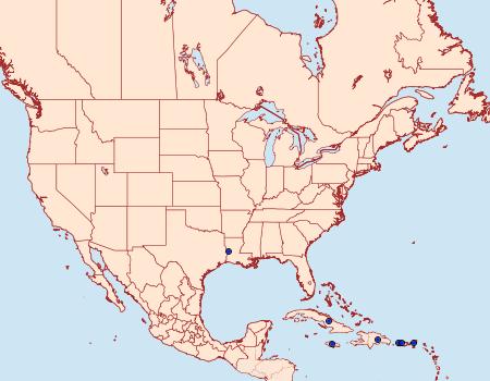 Distribution Data for Maruca vitrata