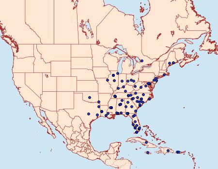 Distribution Data for Patania silicalis