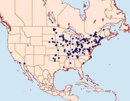 Distribution Data for Lygropia rivulalis