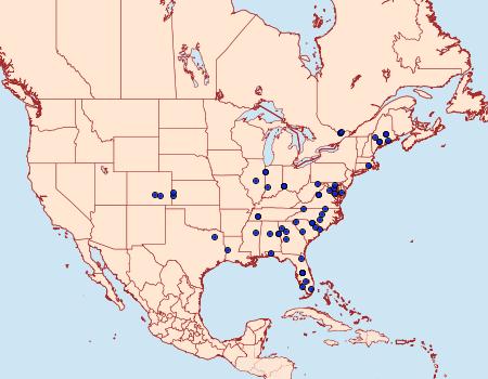 Distribution Data for Diastictis argyralis