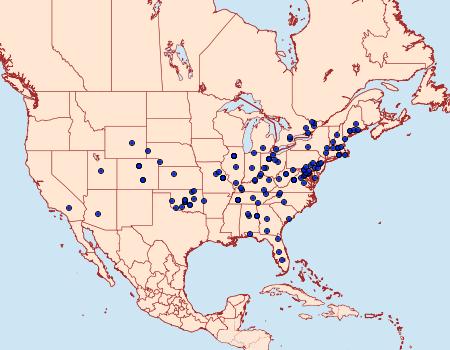 Distribution Data for Diastictis ventralis