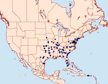 Distribution Data for Psara obscuralis