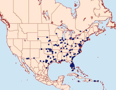 Distribution Data for Herpetogramma bipunctalis