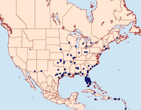 Distribution Data for Herpetogramma phaeopteralis