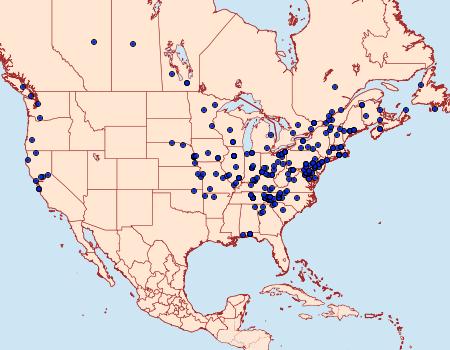 Distribution Data for Herpetogramma pertextalis