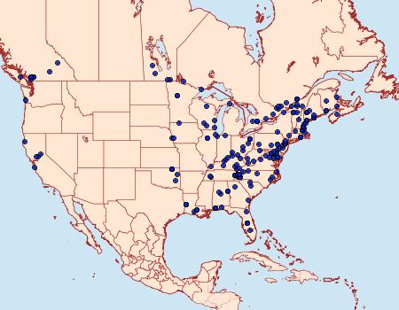 Distribution Data for Herpetogramma thestealis