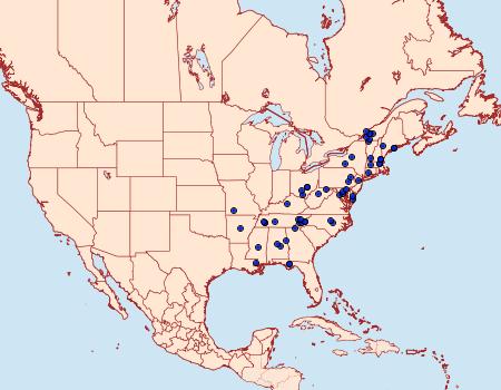 Distribution Data for Herpetogramma sphingealis