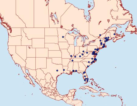 Distribution Data for Herpetogramma theseusalis