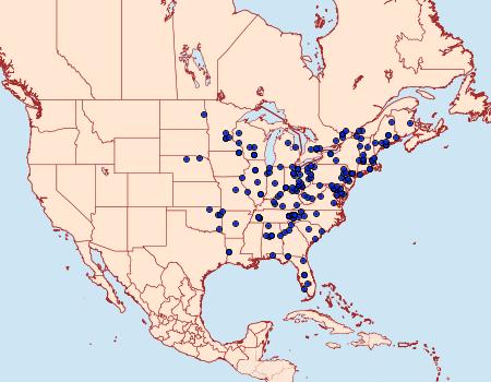 Distribution Data for Herpetogramma aeglealis