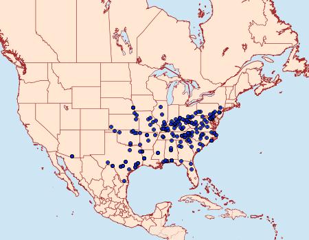 Distribution Data for Conchylodes ovulalis