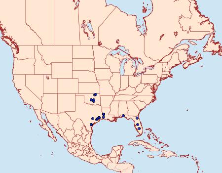 Distribution Data for Leptosteges parthenialis