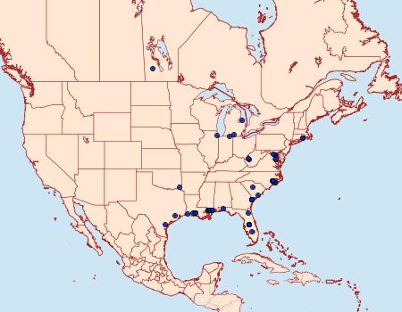 Distribution Data for Donacaula sordidellus