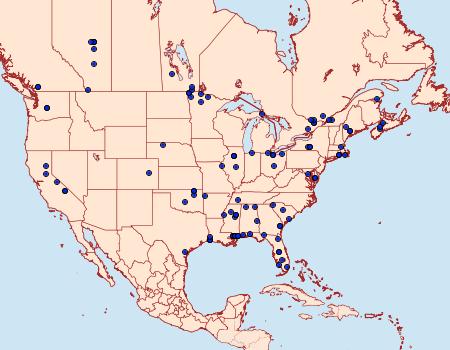 Distribution Data for Donacaula melinellus