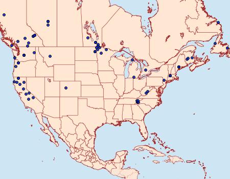 Distribution Data for Crambus pascuella