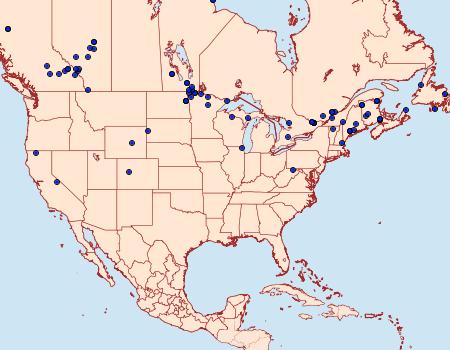 Distribution Data for Crambus perlella