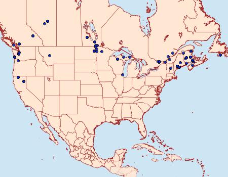 Distribution Data for Crambus unistriatellus