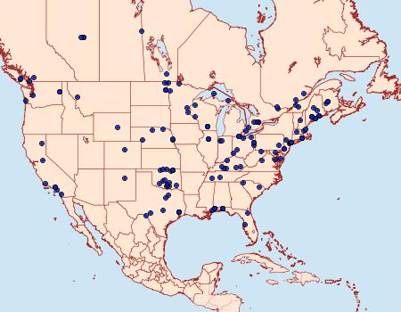 Distribution Data for Crambus leachellus