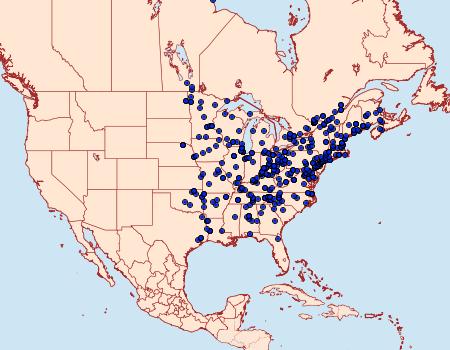 Distribution Data for Crambus agitatellus