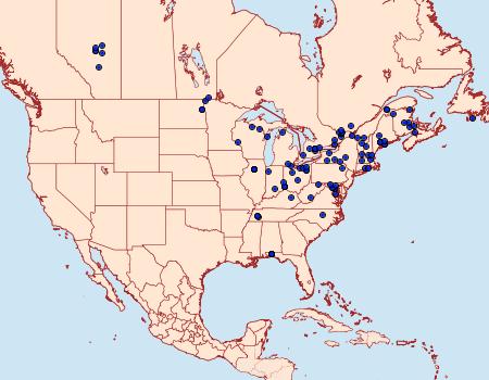 Distribution Data for Crambus girardellus