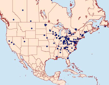 Distribution Data for Neodactria luteolellus